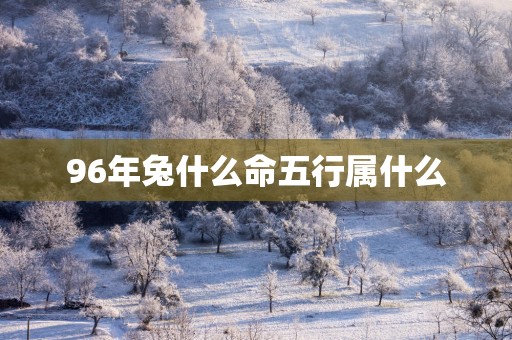 96年兔什么命五行属什么