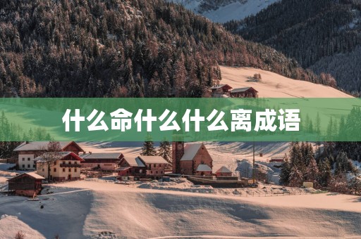 什么命什么什么离成语