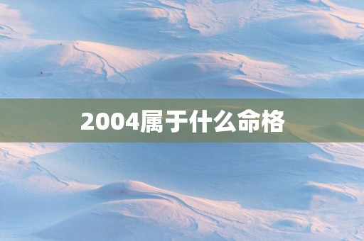 2004属于什么命格