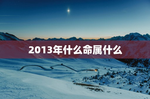 2013年什么命属什么