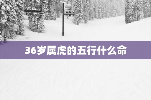 36岁属虎的五行什么命