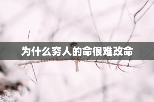 为什么穷人的命很难改命
