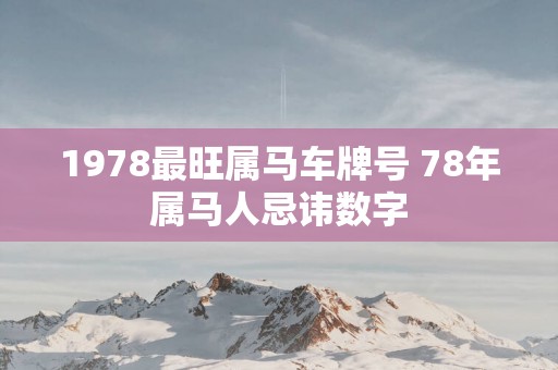1978最旺属马车牌号 78年属马人忌讳数字