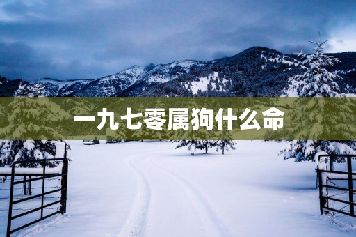一九七零属狗什么命