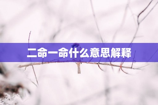 二命一命什么意思解释