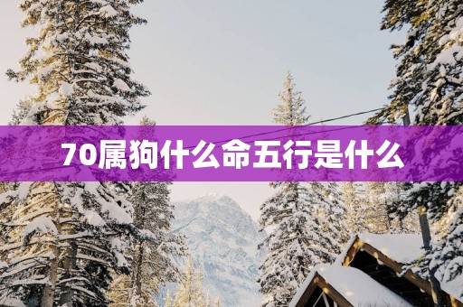 70属狗什么命五行是什么