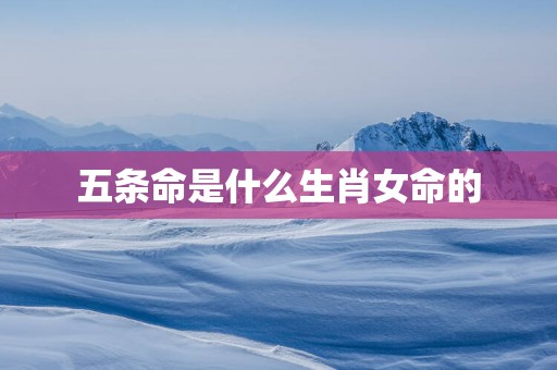 五条命是什么生肖女命的