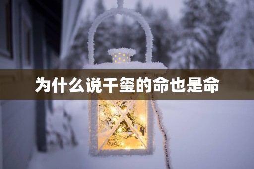 为什么说千玺的命也是命
