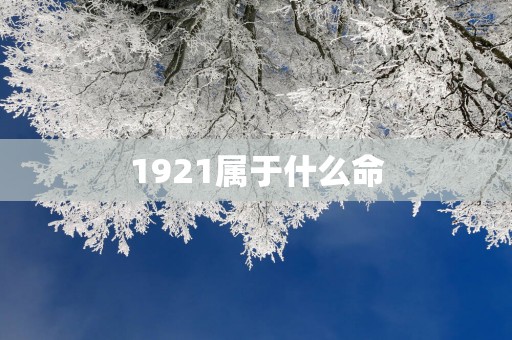 1921属于什么命
