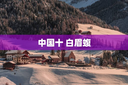 中国十 白眉蝮