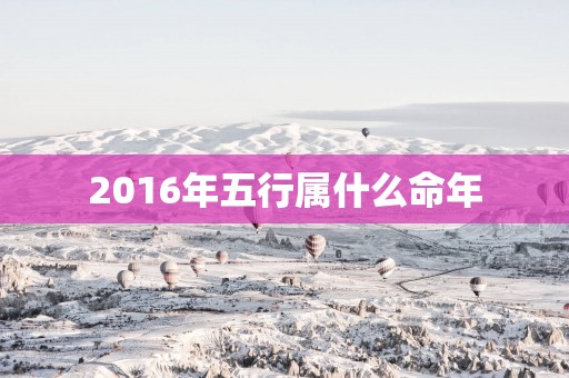 2016年五行属什么命年