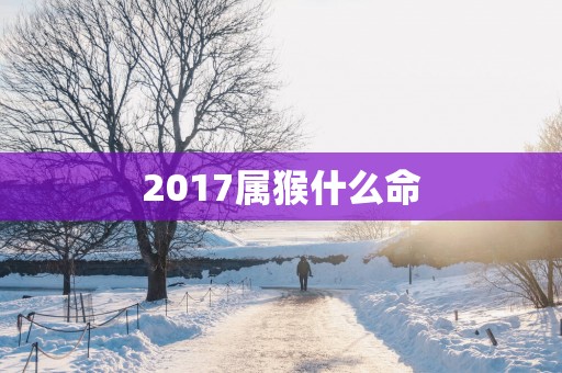 2017属猴什么命