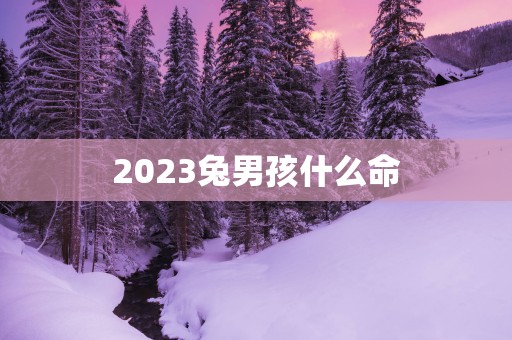 2025兔男孩什么命