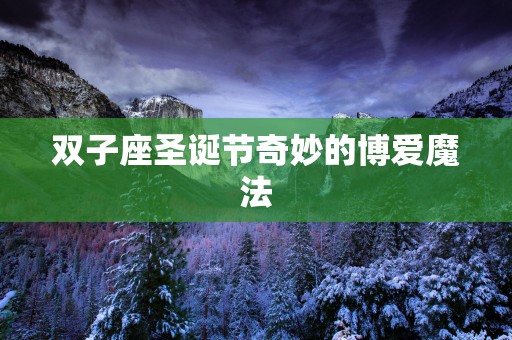 双子座圣诞节奇妙的博爱魔法