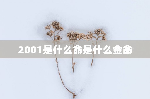 2001是什么命是什么金命