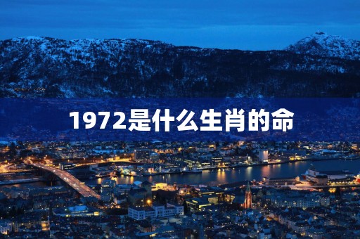 1972是什么生肖的命