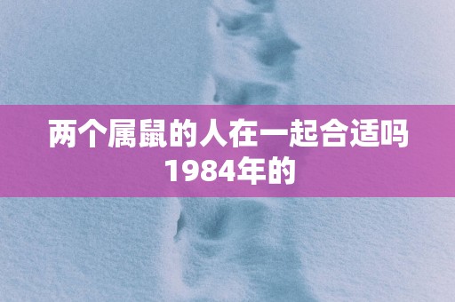 两个属鼠的人在一起合适吗1984年的