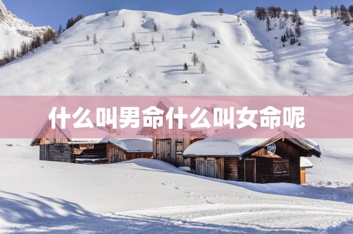什么叫男命什么叫女命呢