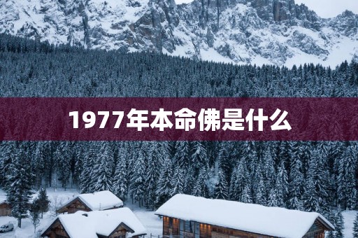 1977年本命佛是什么