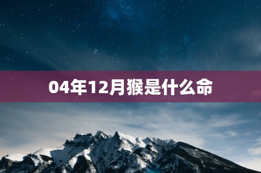 04年12月猴是什么命