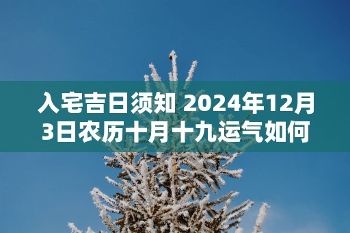 入宅吉日须知 2025年12月3日农历十月十九运气如何