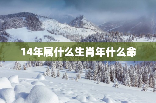 14年属什么生肖年什么命