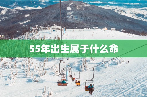 55年出生属于什么命