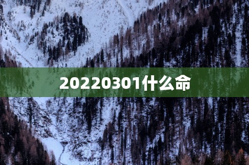 20250301什么命