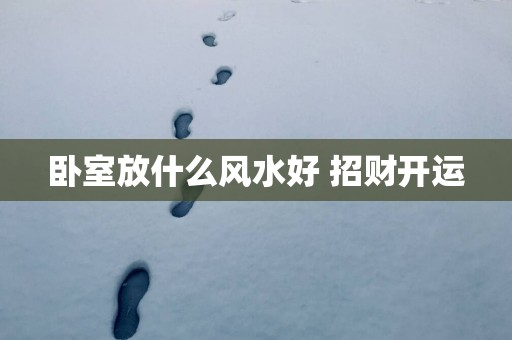 卧室放什么风水好 招财开运
