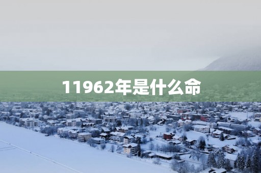 11962年是什么命