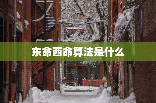 东命西命算法是什么