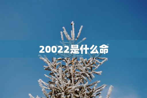 20022是什么命