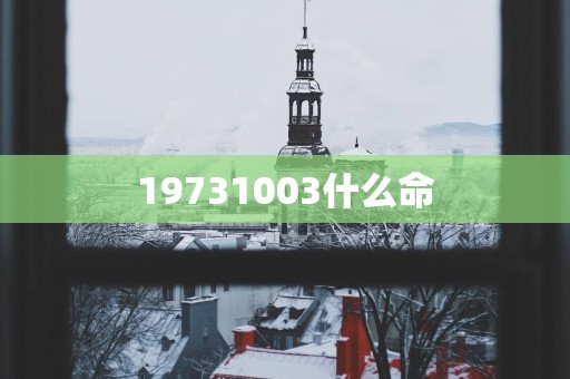 19731003什么命