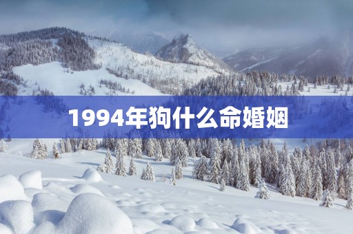 1994年狗什么命婚姻