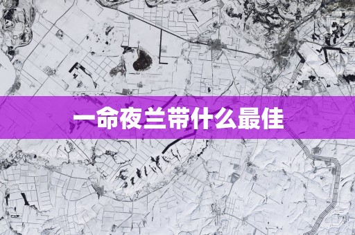 一命夜兰带什么最佳