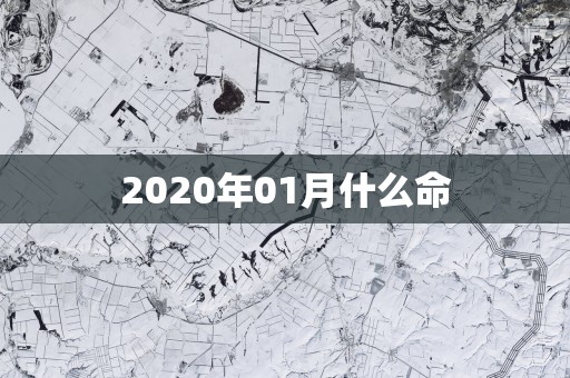 2025年01月什么命