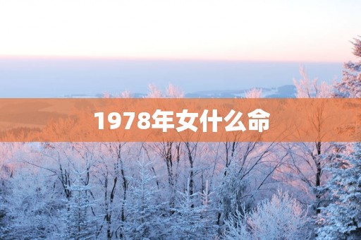 1978年女什么命