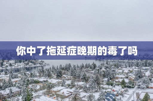 你中了拖延症晚期的毒了吗
