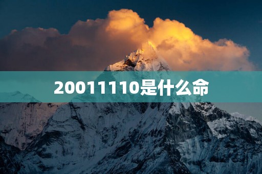 20011110是什么命