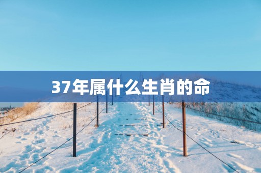 37年属什么生肖的命