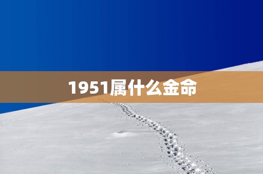 1951属什么金命