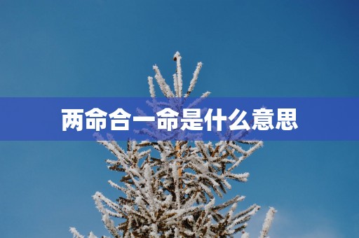 两命合一命是什么意思