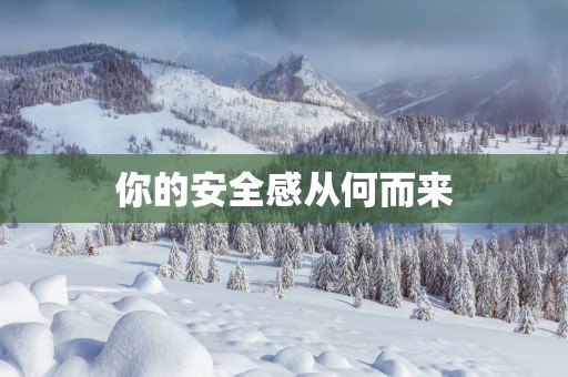 你的安全感从何而来
