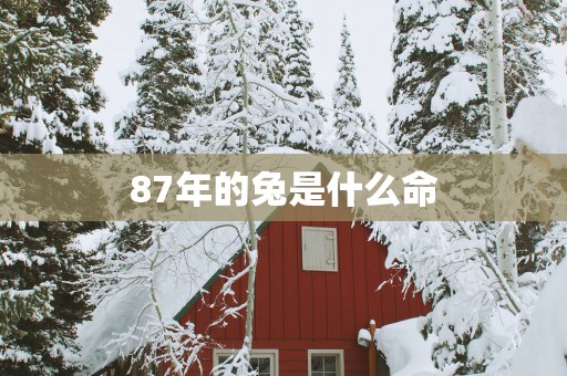 87年的兔是什么命