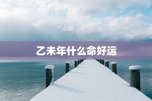 乙未年什么命好运