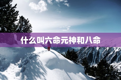 什么叫六命元神和八命