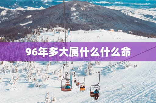 96年多大属什么什么命