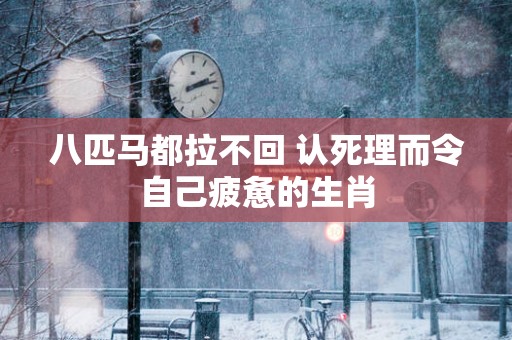 八匹马都拉不回 认死理而令自己疲惫的生肖