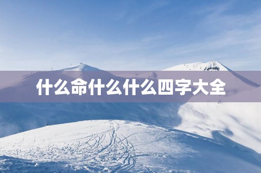什么命什么什么四字大全