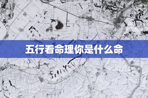 五行看命理你是什么命